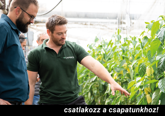 Vetőmag termeltetési adminisztrátor